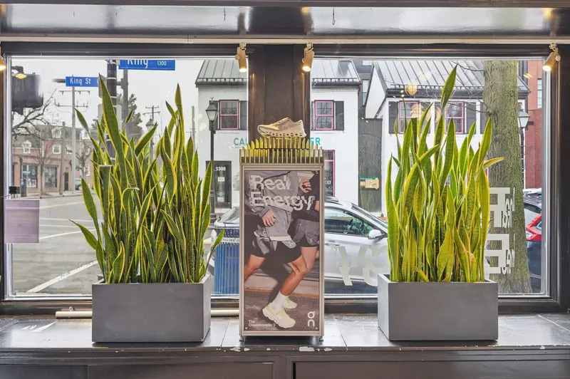 Retail store (commercial) in Old Town Alexandria, VA: real estate photo 9 of 14