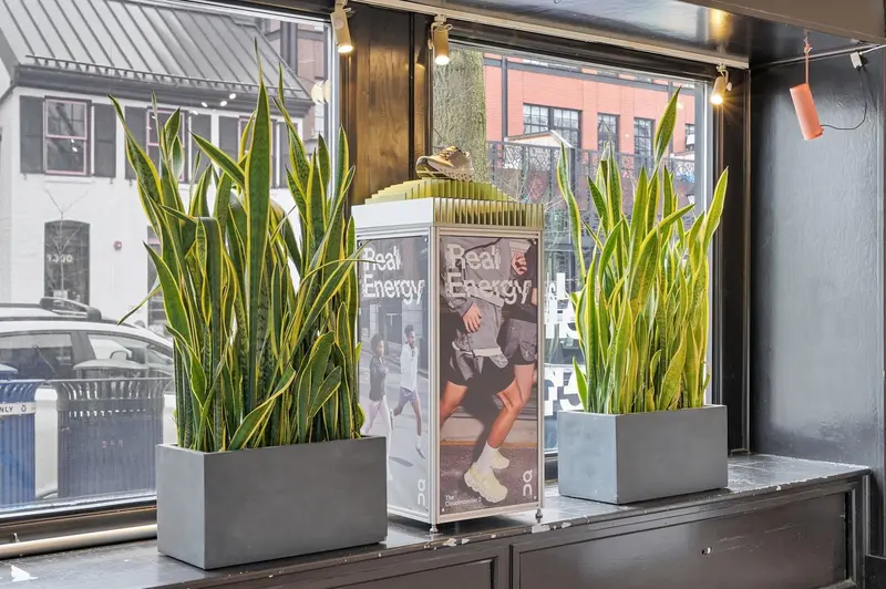 Retail store (commercial) in Old Town Alexandria, VA: real estate photo 11 of 14